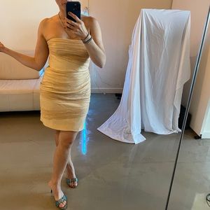 Halston Heritage Champagne Dress